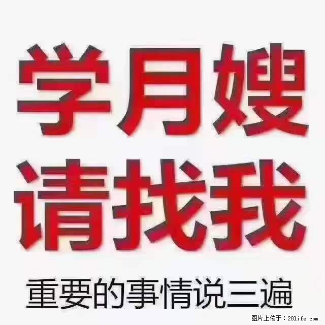 为什么要学习月嫂,育婴师? - 其他广告 - 广告专区 - 大理分类信息 - 大理28生活网 dali.28life.com