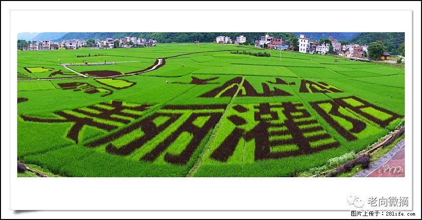 【春天，广西桂林灌阳县向您发出邀请！】开篇 - 游山玩水 - 大理生活社区 - 大理28生活网 dali.28life.com