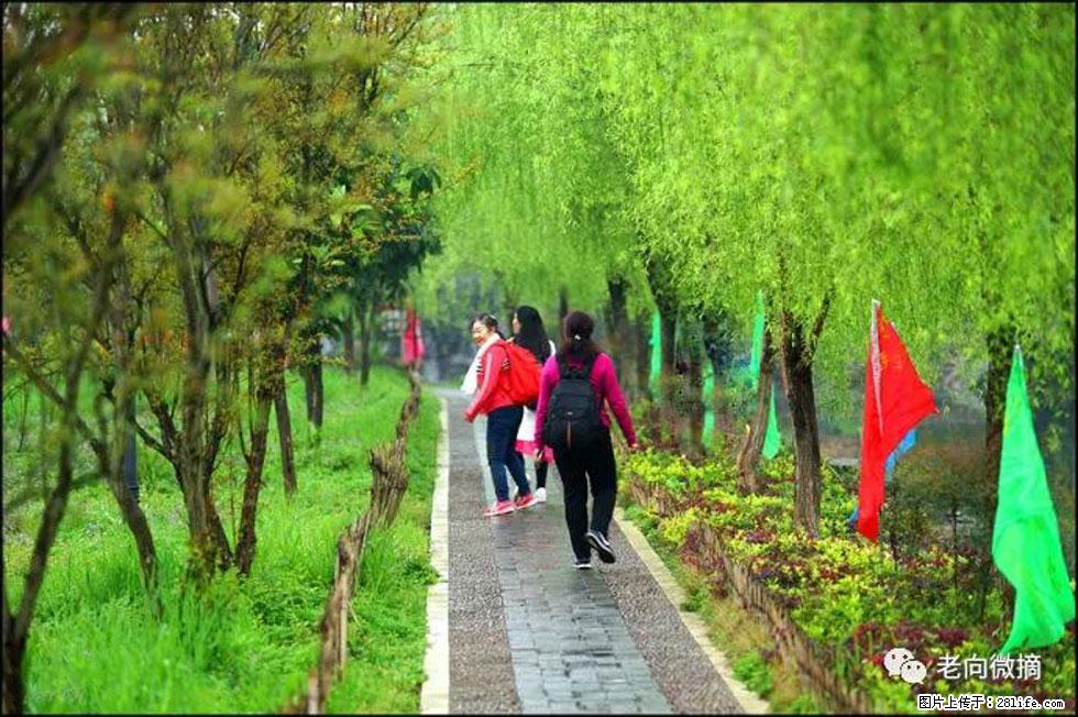 【春天，广西桂林灌阳县向您发出邀请！】江口老街又逢春 - 游山玩水 - 大理生活社区 - 大理28生活网 dali.28life.com