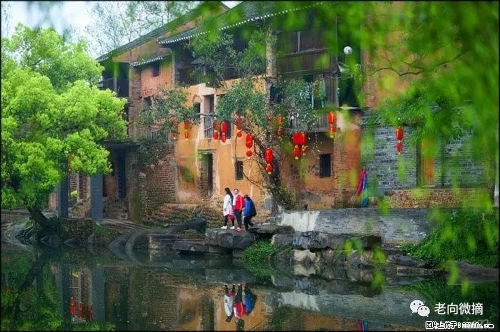 【春天，广西桂林灌阳县向您发出邀请！】江口老街又逢春 - 游山玩水 - 大理生活社区 - 大理28生活网 dali.28life.com