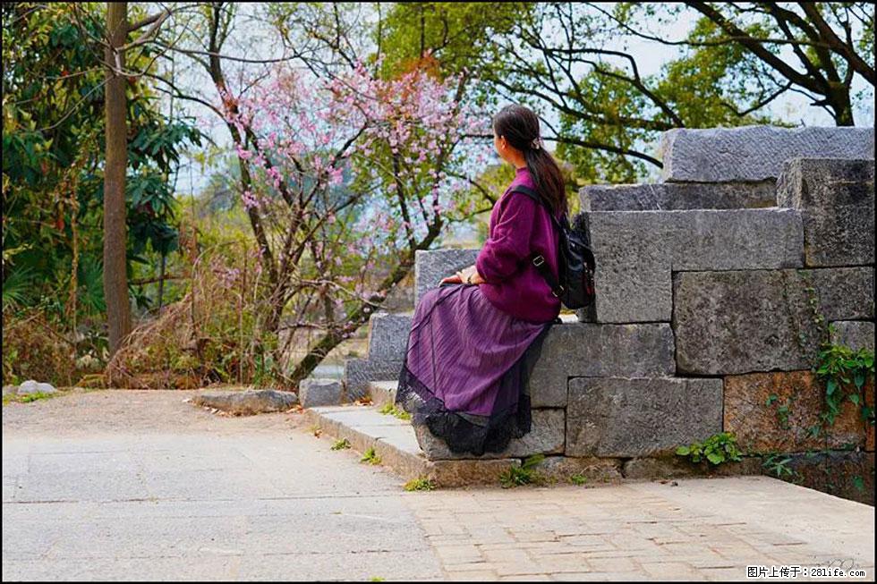 【春天，广西桂林灌阳县向您发出邀请！】江口老街又逢春 - 游山玩水 - 大理生活社区 - 大理28生活网 dali.28life.com