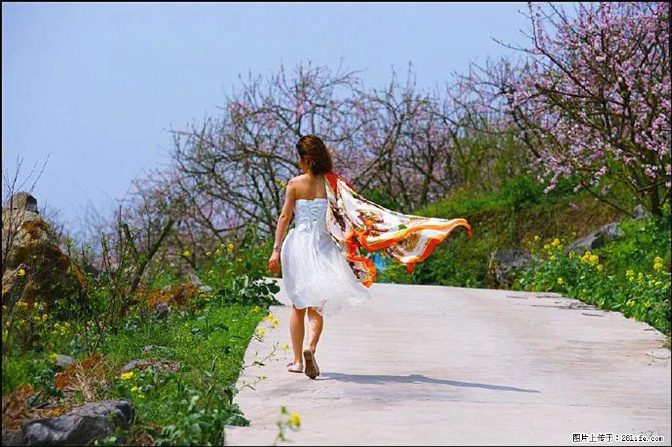 【春天，广西桂林灌阳县向您发出邀请！】望月岭上桃花开 - 游山玩水 - 大理生活社区 - 大理28生活网 dali.28life.com