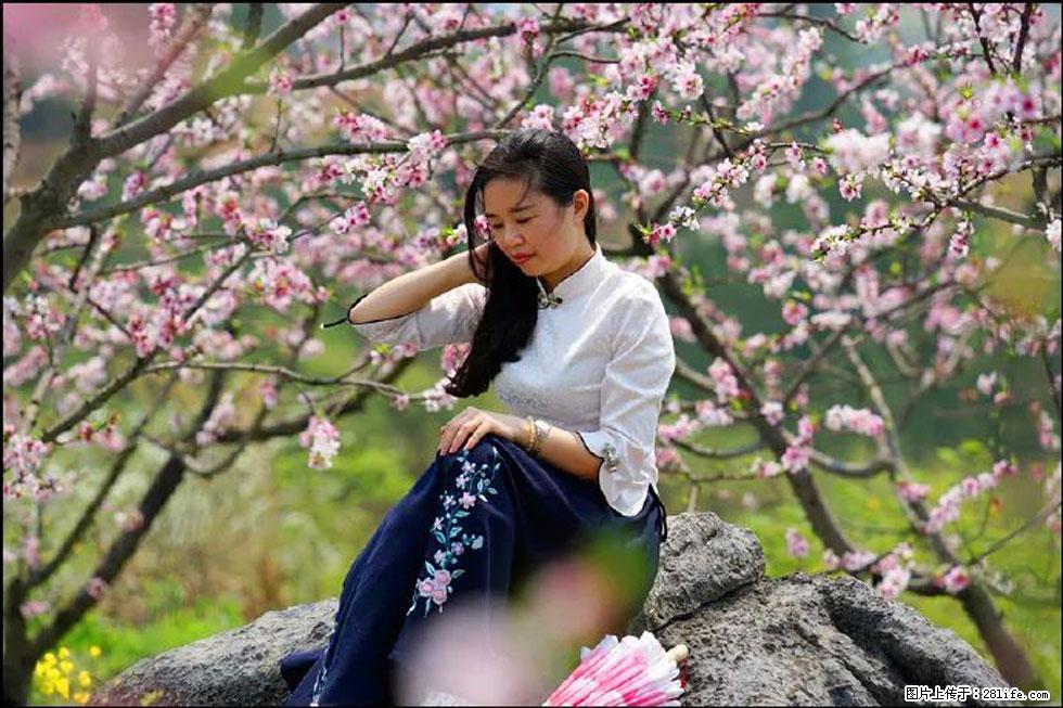 【春天，广西桂林灌阳县向您发出邀请！】望月岭上桃花开 - 游山玩水 - 大理生活社区 - 大理28生活网 dali.28life.com