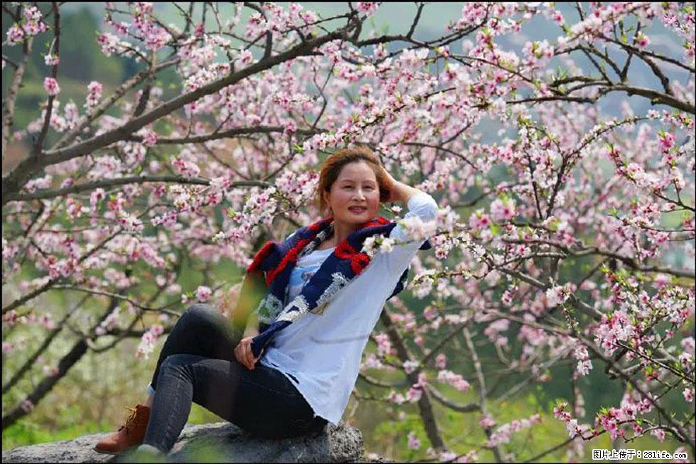 【春天，广西桂林灌阳县向您发出邀请！】望月岭上桃花开 - 游山玩水 - 大理生活社区 - 大理28生活网 dali.28life.com