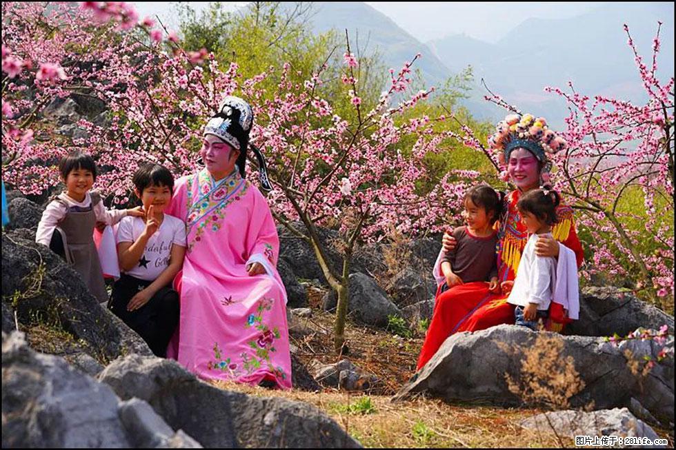 【春天，广西桂林灌阳县向您发出邀请！】望月岭上桃花开 - 游山玩水 - 大理生活社区 - 大理28生活网 dali.28life.com