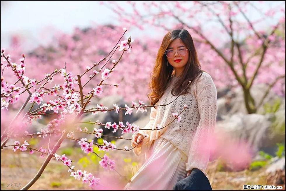 【春天，广西桂林灌阳县向您发出邀请！】望月岭上桃花开 - 游山玩水 - 大理生活社区 - 大理28生活网 dali.28life.com