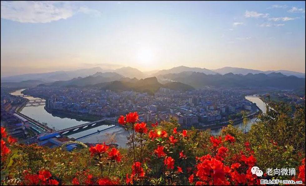 【春天，广西桂林灌阳县向您发出邀请！】登麒麟山，相约映山红 - 游山玩水 - 大理生活社区 - 大理28生活网 dali.28life.com