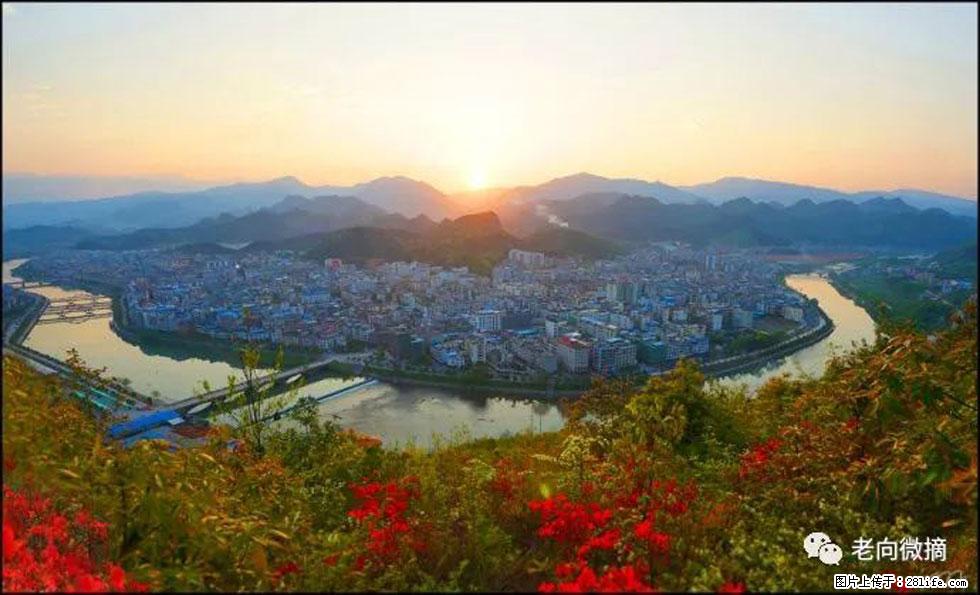 【春天，广西桂林灌阳县向您发出邀请！】登麒麟山，相约映山红 - 游山玩水 - 大理生活社区 - 大理28生活网 dali.28life.com