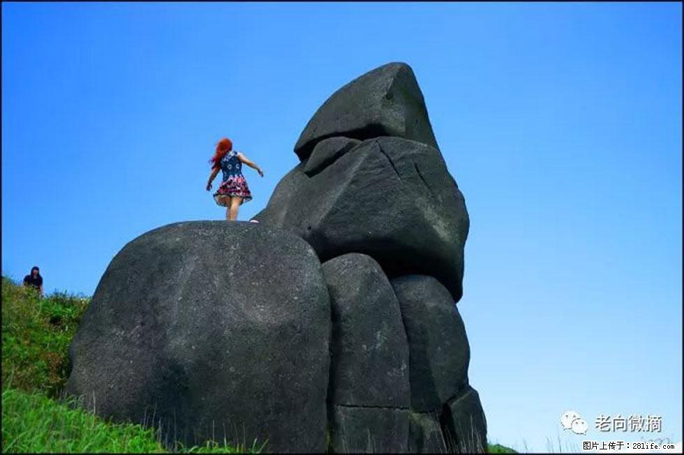 【春天，广西桂林灌阳县向您发出邀请！】宝盖山上映山红 - 游山玩水 - 大理生活社区 - 大理28生活网 dali.28life.com