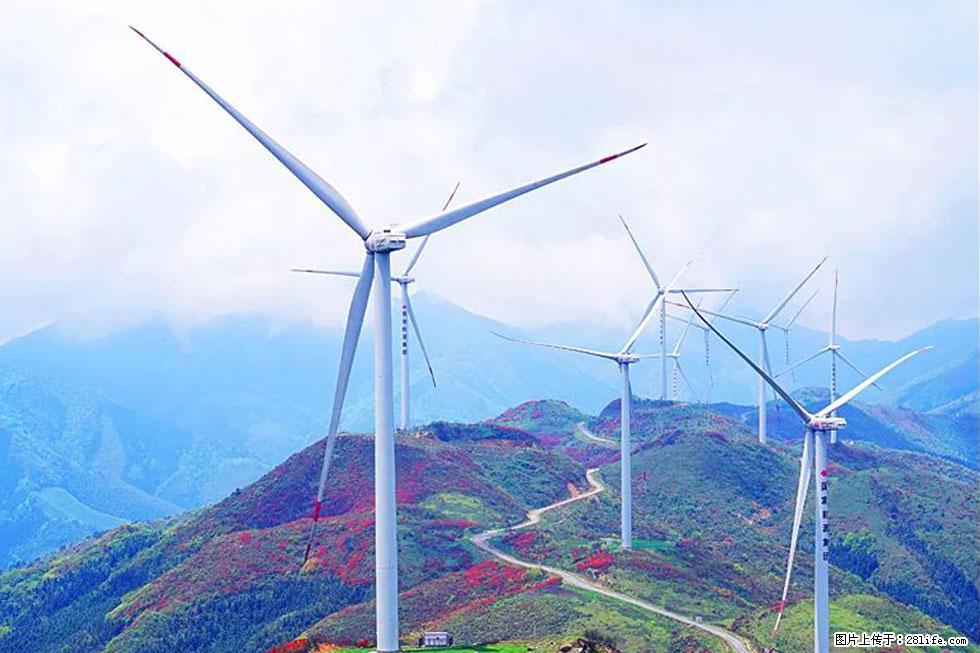 【春天，广西桂林灌阳县向您发出邀请！】春木界上映山红 - 游山玩水 - 大理生活社区 - 大理28生活网 dali.28life.com