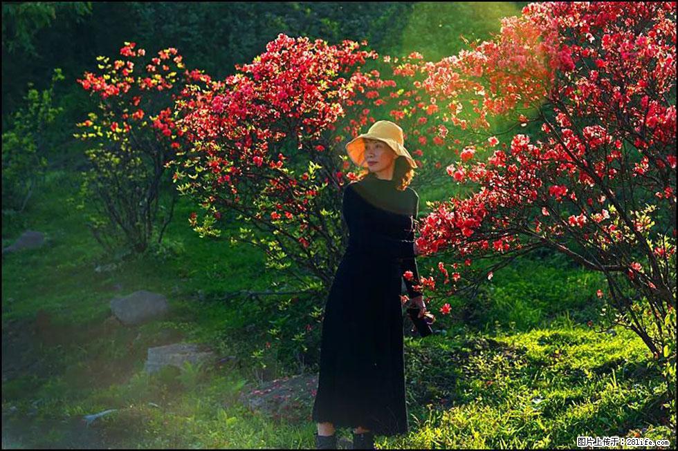 【春天，广西桂林灌阳县向您发出邀请！】春木界上映山红 - 游山玩水 - 大理生活社区 - 大理28生活网 dali.28life.com