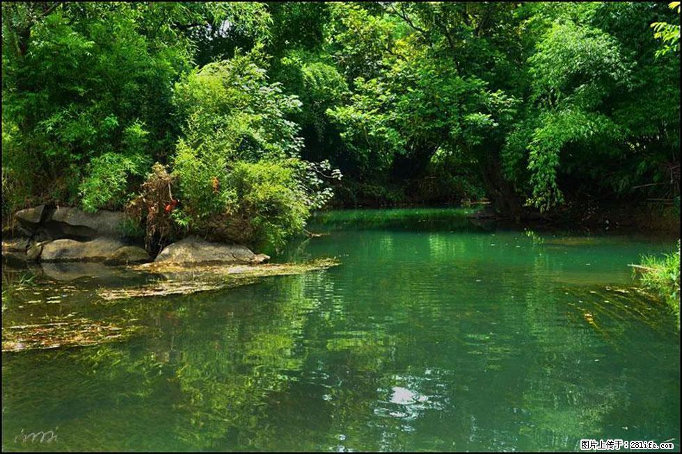 【春天,广西桂林灌阳县向您发出邀请!】如梦似幻莲溪庐 - 游山玩水 - 大理生活社区 - 大理28生活网 dali.28life.com