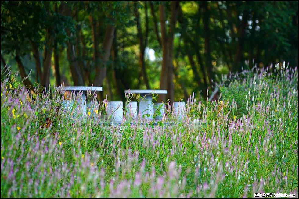 【春天，广西桂林灌阳县向您发出邀请！】熊家寨湿地公园 - 游山玩水 - 大理生活社区 - 大理28生活网 dali.28life.com