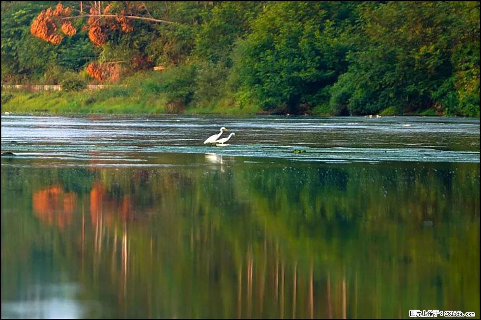 【春天，广西桂林灌阳县向您发出邀请！】熊家寨湿地公园 - 游山玩水 - 大理生活社区 - 大理28生活网 dali.28life.com
