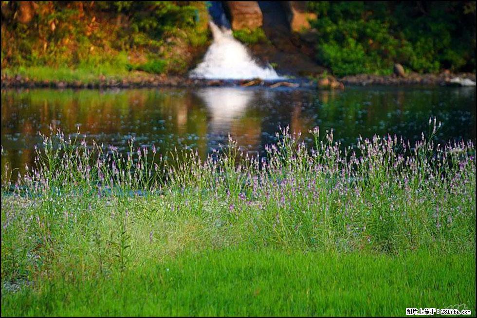 【春天，广西桂林灌阳县向您发出邀请！】熊家寨湿地公园 - 游山玩水 - 大理生活社区 - 大理28生活网 dali.28life.com