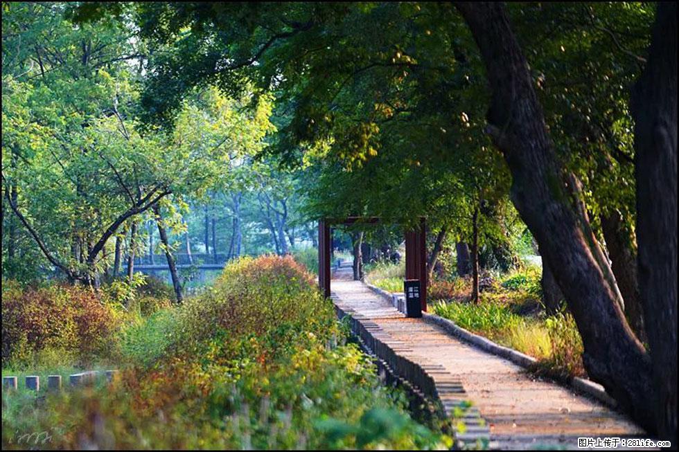 【春天，广西桂林灌阳县向您发出邀请！】熊家寨湿地公园 - 游山玩水 - 大理生活社区 - 大理28生活网 dali.28life.com