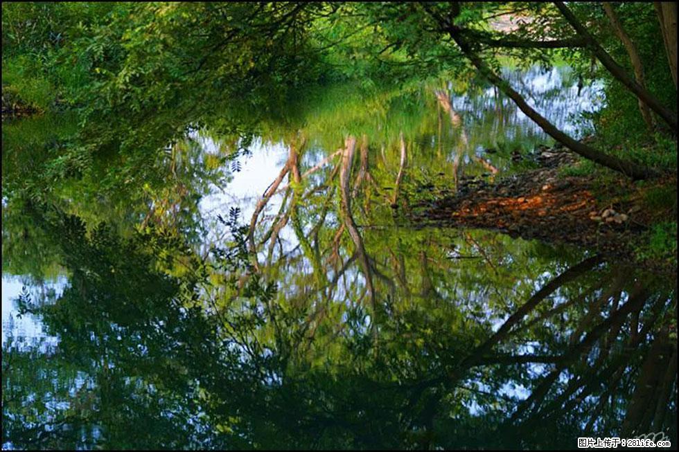 【春天，广西桂林灌阳县向您发出邀请！】熊家寨湿地公园 - 游山玩水 - 大理生活社区 - 大理28生活网 dali.28life.com