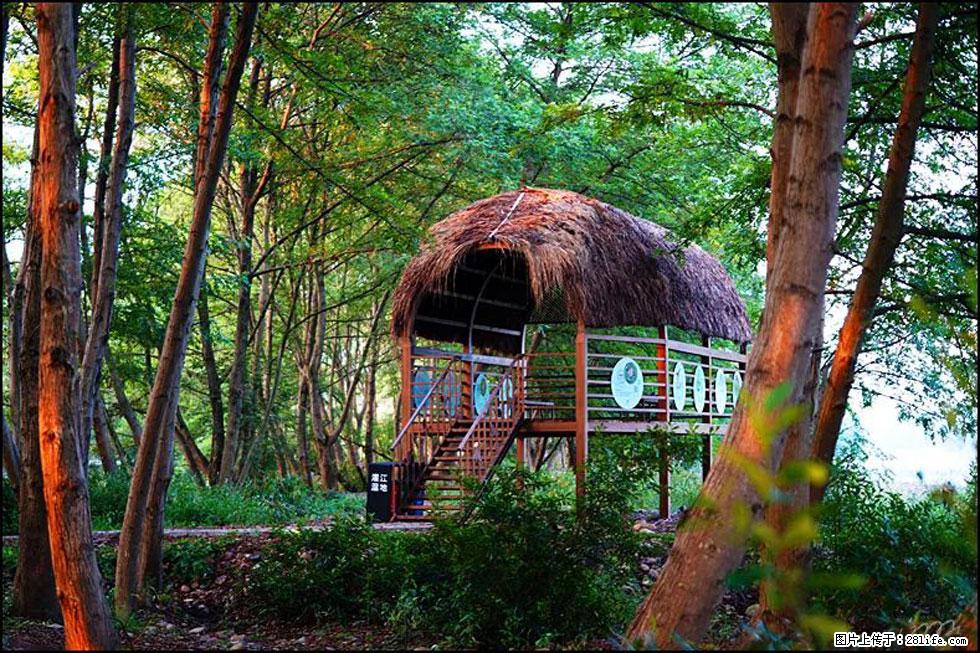 【春天，广西桂林灌阳县向您发出邀请！】熊家寨湿地公园 - 游山玩水 - 大理生活社区 - 大理28生活网 dali.28life.com