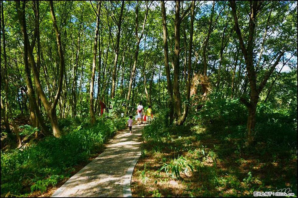 【春天，广西桂林灌阳县向您发出邀请！】熊家寨湿地公园 - 游山玩水 - 大理生活社区 - 大理28生活网 dali.28life.com