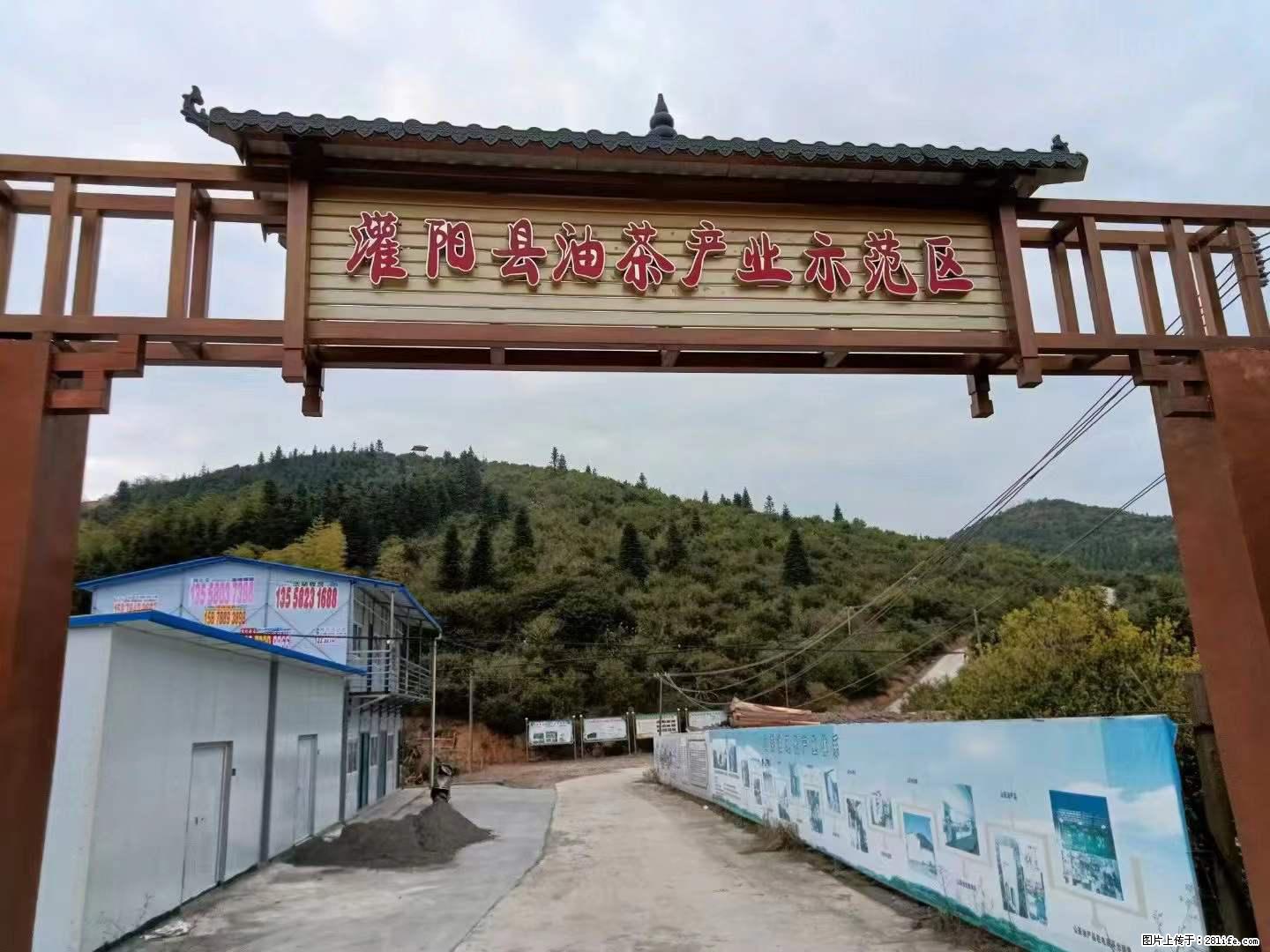 【灌阳县油茶产业示范区】一个有着充实的精神生活的人,对待身外之物自会有一种淡泊的态度 - 美食天地 - 大理生活社区 - 大理28生活网 dali.28life.com