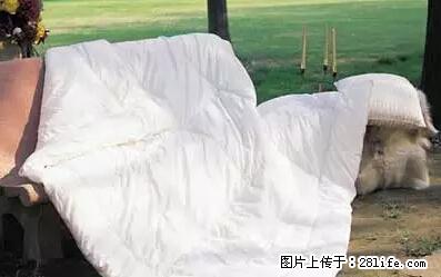 被子有异味?只要这样做,比晒太阳还强100倍! - 家居生活 - 大理生活社区 - 大理28生活网 dali.28life.com