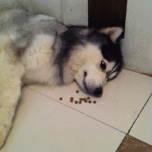 笑癫了!一女的怀孕三年未生,他终于忍不住了... - 娱乐八卦 - 大理生活社区 - 大理28生活网 dali.28life.com