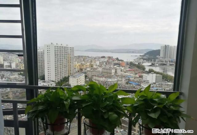 艺墅花香此房采光好,带家具出租,环境优雅,交通便利 - 房屋出租 - 房屋租售 - 大理分类信息 - 大理28生活网 dali.28life.com