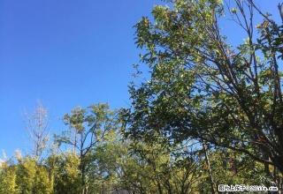 开发区明珠国际 1室1厅1卫 - 大理28生活网 dali.28life.com