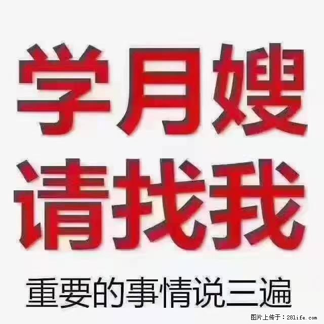 【招聘】月嫂,上海徐汇区 - 职场交流 - 大理生活社区 - 大理28生活网 dali.28life.com