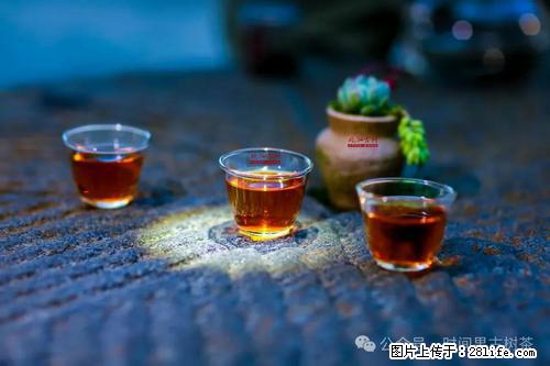 时间果百年古树2025年春红茶 - 购物交流 - 大理生活社区 - 大理28生活网 dali.28life.com