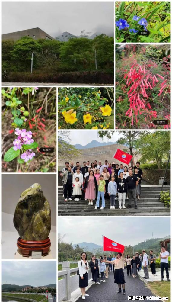 “粤灌文化 美好生活”油茶文化主题活动在广东深圳成功举办 - 大理生活资讯 - 大理28生活网 dali.28life.com