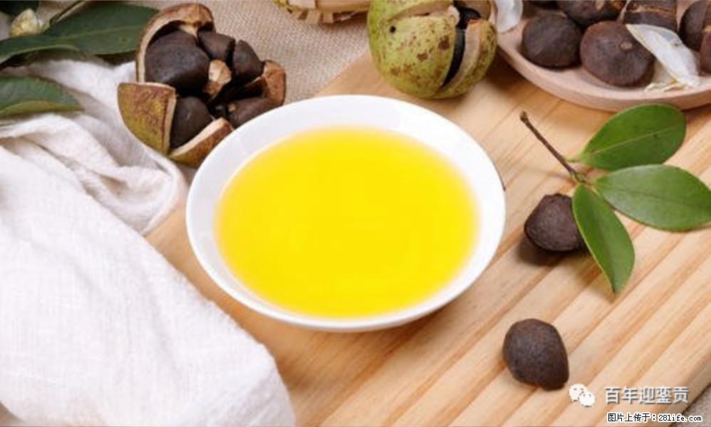 揭秘茶油的5大核心营养成分!被称为人体健康的“守护盾”! - 大理生活资讯 - 大理28生活网 dali.28life.com