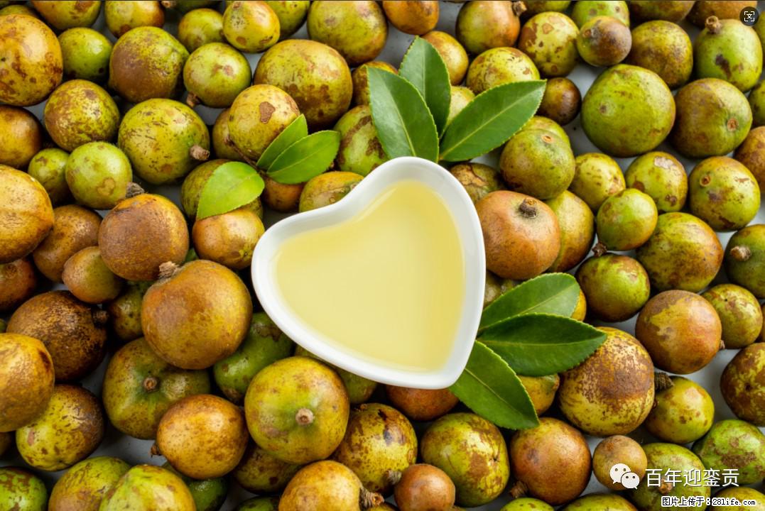 世界没有真相，只有认知，最好的食用油是中国的山茶油！ - 大理生活资讯 - 大理28生活网 dali.28life.com