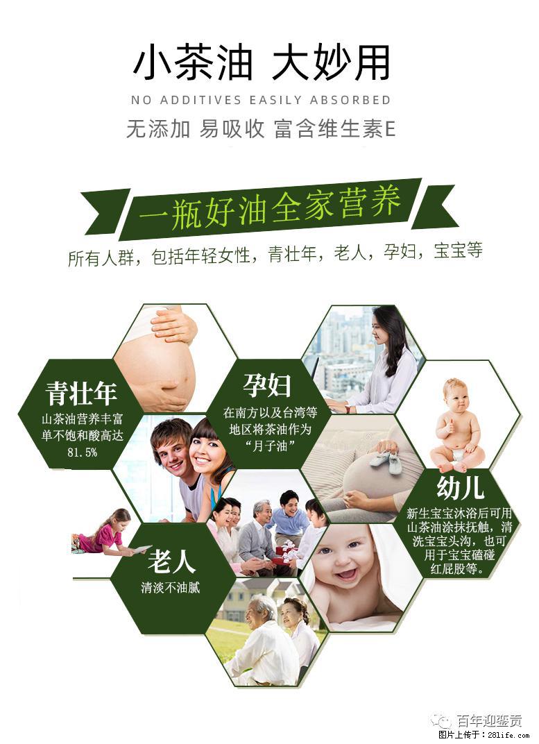 世界没有真相，只有认知，最好的食用油是中国的山茶油！ - 大理生活资讯 - 大理28生活网 dali.28life.com