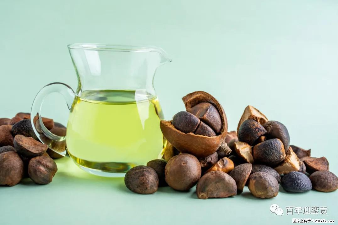 世界没有真相，只有认知，最好的食用油是中国的山茶油！ - 大理生活资讯 - 大理28生活网 dali.28life.com