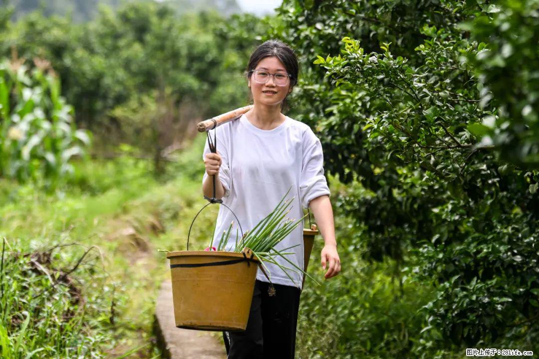 全网追的“扁担女孩”,找了一份暑假工,时薪12元 - 大理生活资讯 - 大理28生活网 dali.28life.com