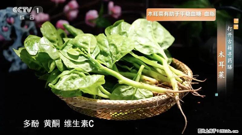 比牛奶补钙还厉害!凉血解毒、稳血糖...这菜冬天必吃,很多人却当草 - 大理生活资讯 - 大理28生活网 dali.28life.com