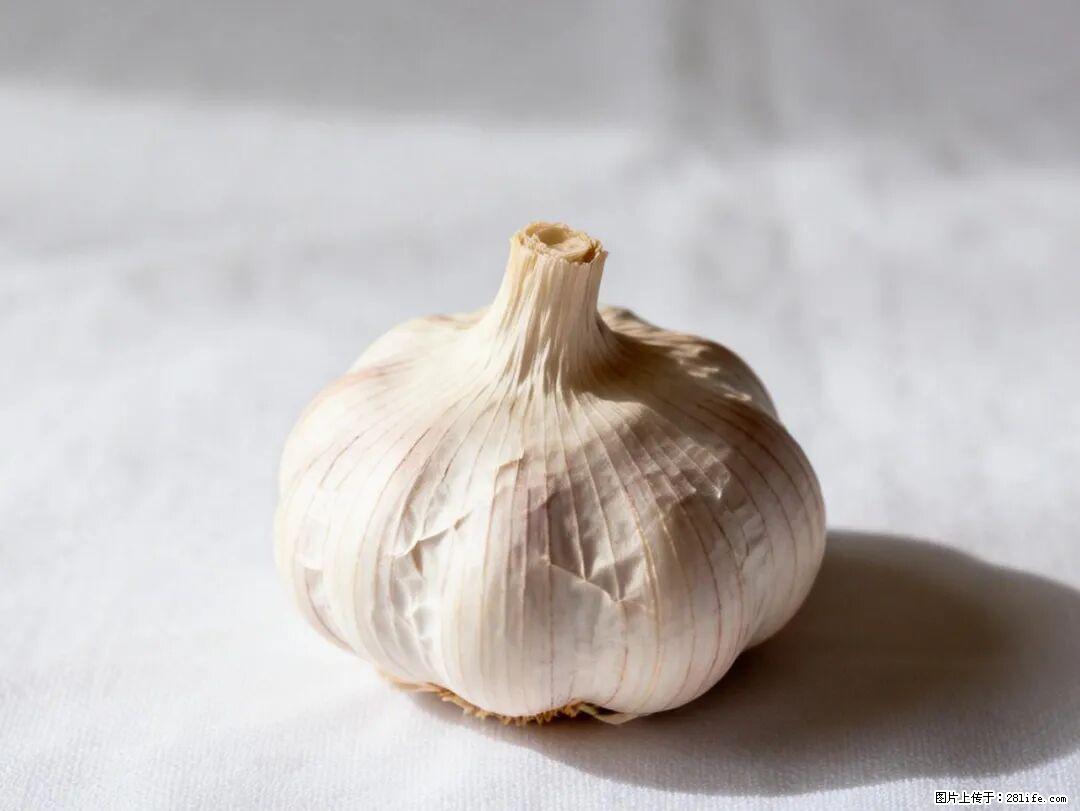 关于大蒜，除了“天然抗生素”，这4个谣言更该警惕! - 大理生活资讯 - 大理28生活网 dali.28life.com