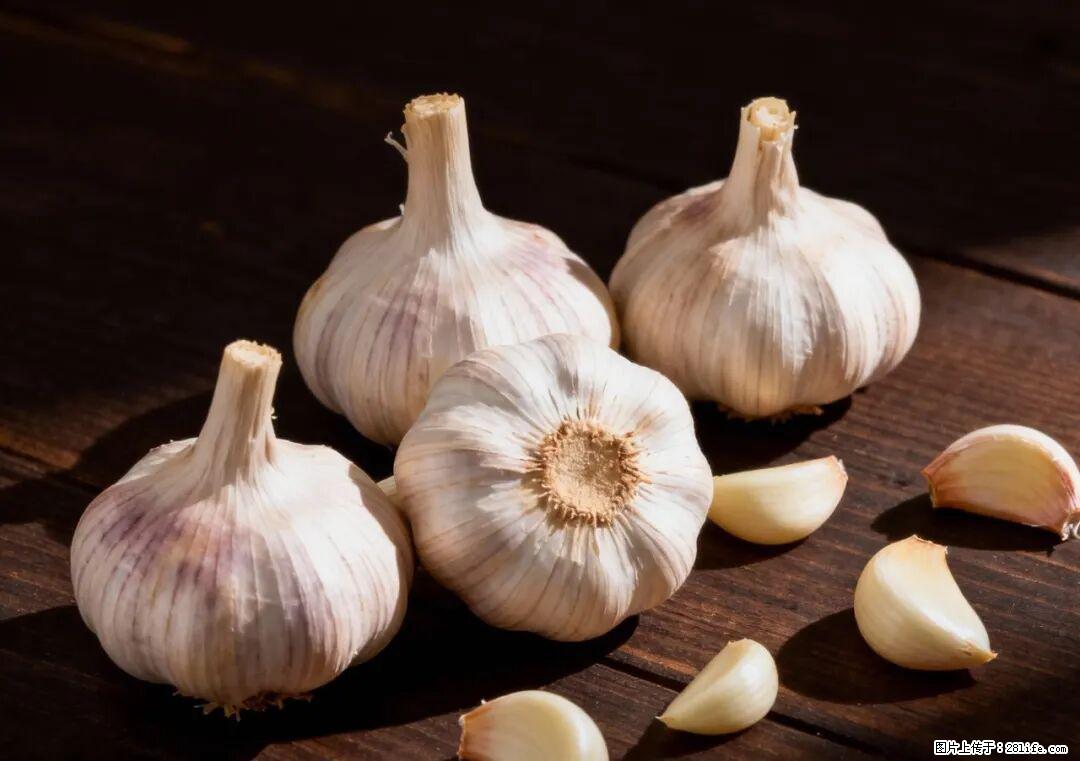 关于大蒜，除了“天然抗生素”，这4个谣言更该警惕! - 大理生活资讯 - 大理28生活网 dali.28life.com