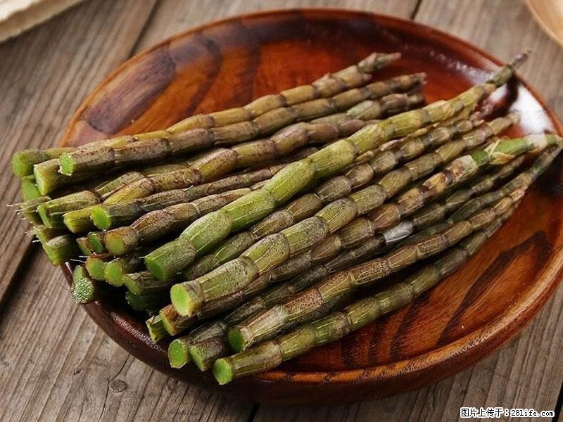 铁皮石斛的作用与功能主治 - 大理生活资讯 - 大理28生活网 dali.28life.com
