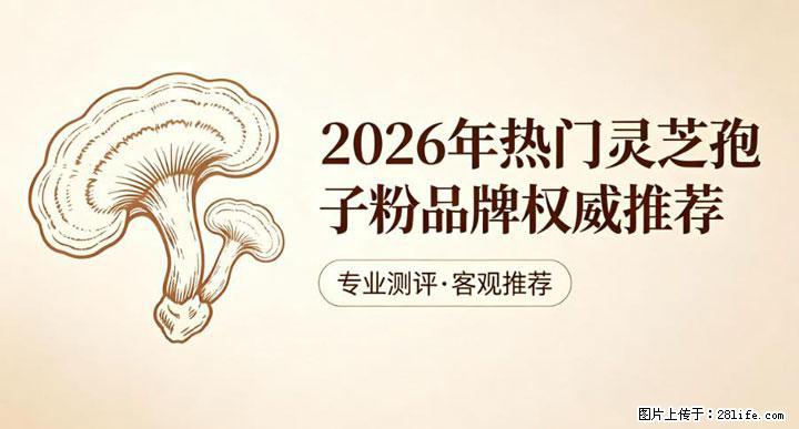 灵芝孢子粉含量越高越有效？2026 年七款热门品牌深度实测，肠胃敏感者避坑指南 - 大理生活资讯 - 大理28生活网 dali.28life.com