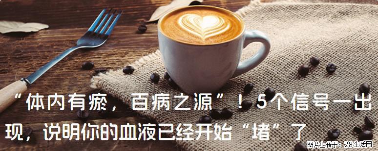 “体内有瘀,百病之源”!5个信号一出现,说明你的血液已经开始“堵”了 - 大理生活资讯 - 大理28生活网 dali.28life.com
