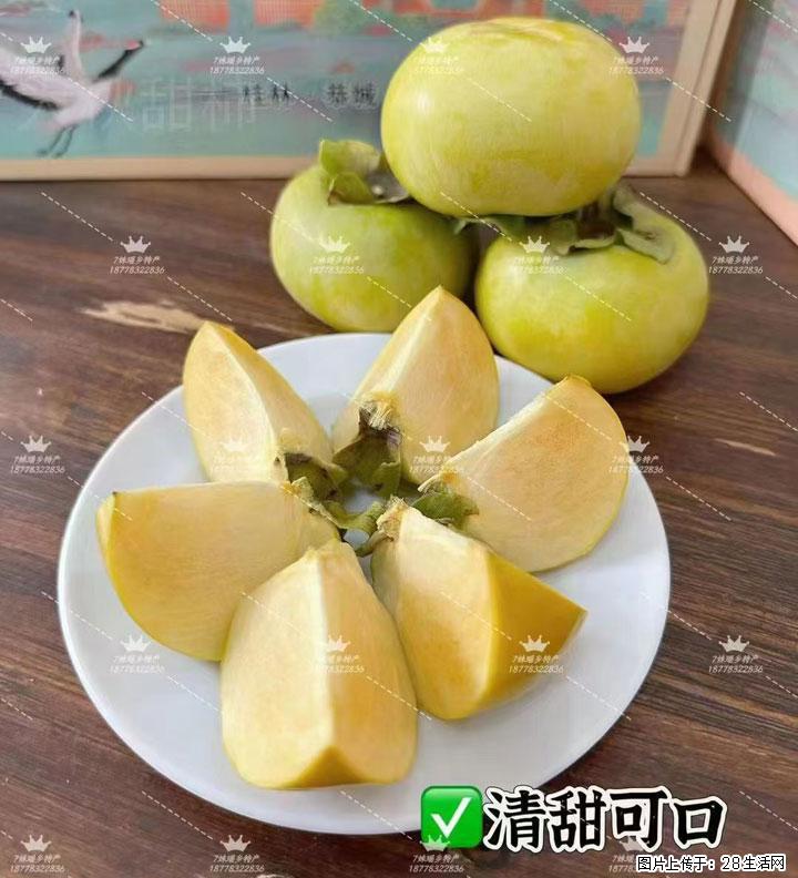广西桂林平乐桥亭【红心猕猴桃】、【大秋甜柿】上市啦，欢迎各位新老客户下单（另有少量小果出售） - 大理生活资讯 - 大理28生活网 dali.28life.com